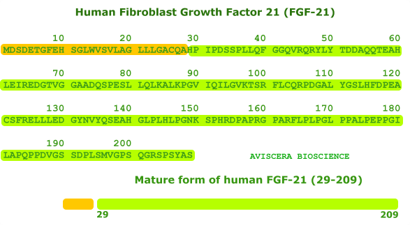 human fgf21