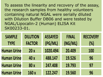 human ngal elisa kit sk00233-01 from aviscera bioscience enables to measure urine samples