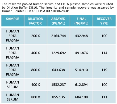 human soluble CD146 elisa kit enables to measure human serum samples