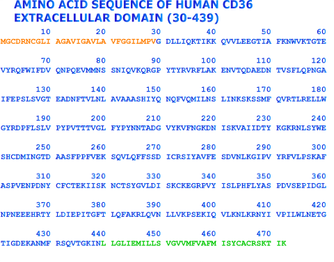 human soluble CD36 recombinant