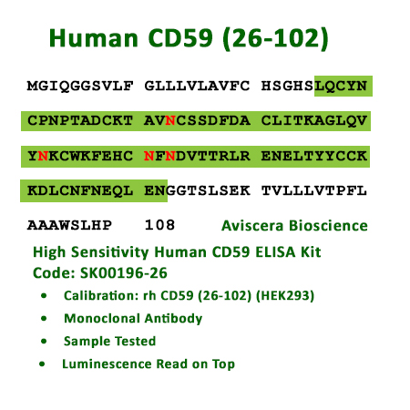 CD59