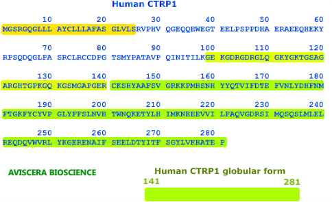 human ctrp1 recombinant from aviscera bioscience