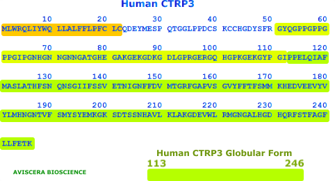 HUMAN CTRP3 RECOMBINANT FROM AVISCERA BIOSCIENCE