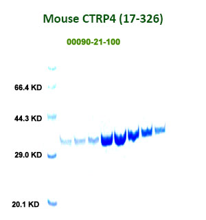 mouse ctrp4 full length from aviscera