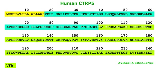 human ctrp5 recombinant from aviscera bioscience