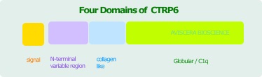 domains of ctrp6