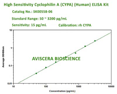 high sensitivity CYPA elisa kit SK00558-06