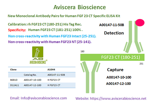 FGF23 CT MAB from Aviscera Bioscience