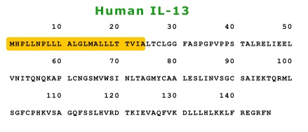 human IL-13 elisa kit from aviscera