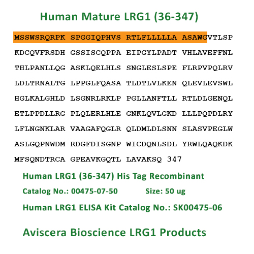 human lrg1 his tag protein