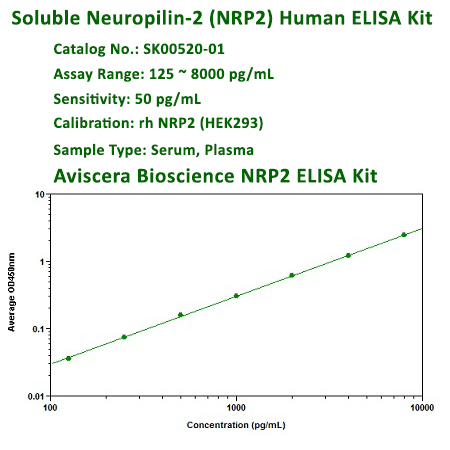 human soluble NRP2 ELISA Kit SK00520-01