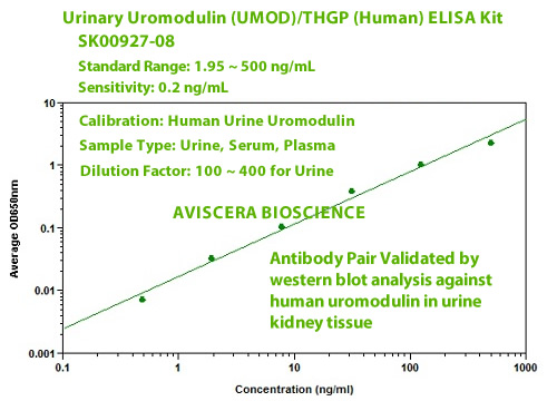 new human urinary uromodulin elisa kit from aviscera