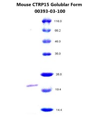 mouse myonectin ctrp15 recombinant from aviscera bioscience